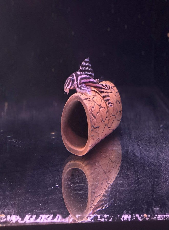 Plecoceramics زينة سيراميكية على شكل كهف لتربية أسماك البليكو، مناسبة لأحواض السمك متوسطة الحجم (قطعة واحدة) - Image 5